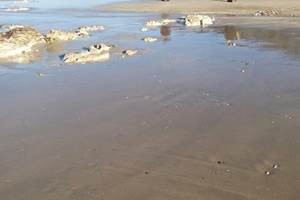 plage de criel sur mer