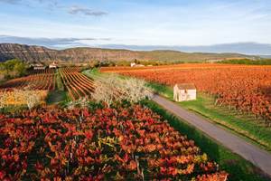 201029165906 Vignoble de Cahors en automne à Parnac © C. Novello - Lot Tourisme_1024x682