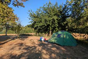 PXL_20250803_173003174.MP