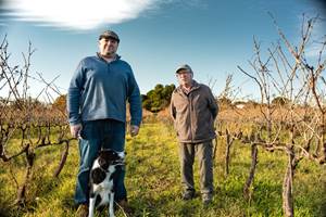 Domaine du blavet taille de la vigne -17