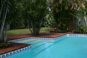 Soleil-palmiers-piscine-des-gites-l-or-des-caraibes