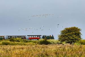 Petit Train de la Baie de Somme Gites La Baie des Remparts Picardie France