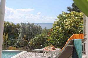 Iguane House villas & Micro Spa Villa Mangrove vue mer