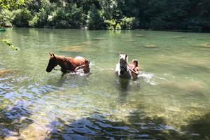 baignade à 4 minutes a pied du camping