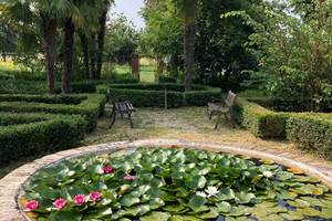 Jardin à la française Domaine de Ménerque