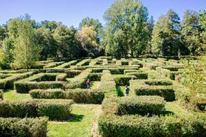 labyrinthe végétal