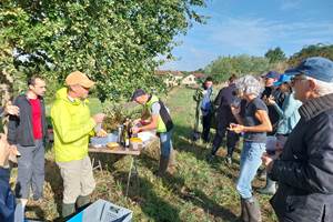 casse croute des vendanges