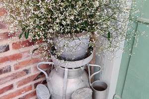 pot à lait fleuri
