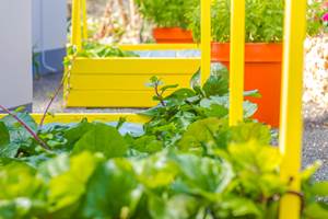 Iguane House villas & Micro Spa Villa Passion détail jardin paysagé nord