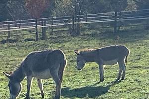 vue-exterieure-nature-gite-calme-charly-region-lyon