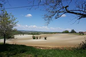 Jardin du bassin à l'arrière de la propriété