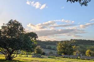 Vue sur le jardin du bassin