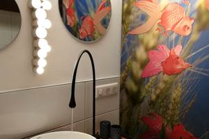 lavabo et séparation WC