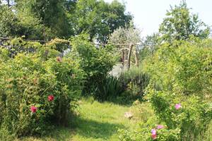 jardin-naturel-prairie-plantes-masserac-pédagogique-koantiz.jpg
