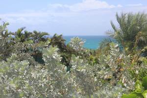 Iguane House villas & Micro Spa Villa Corail vue mer depuis le jardin paysagé