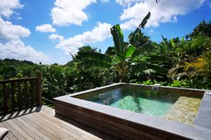 Les Jardins des Balisiers Gîte Balisiers piscine privative