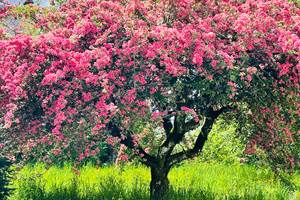 gite_correze_pierres_confort-nature