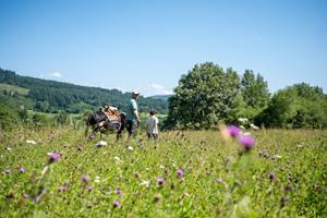 Avec un âne ©PRN Millevaches