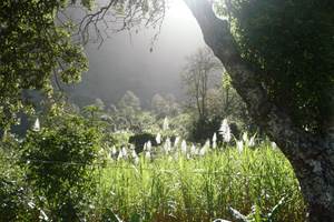 kasa-tambla-hebergement-hotel-ponta-do-sol-santo-antao-cap-vert