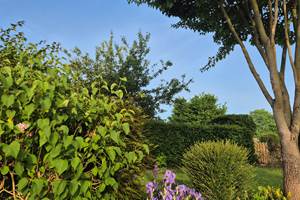 Plantes de la partie du jardin pour les clients