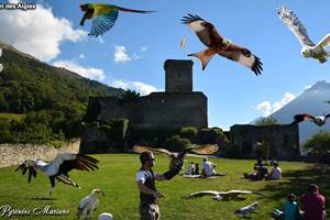 Le Donjon des Aigles