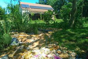 verdure du jardin