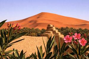 La vue depuis la terrasse de l'auberge