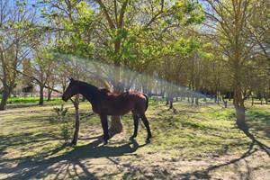 IMG_20250330_123352