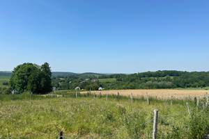 Vue campagne Falmagne - Falmignoul