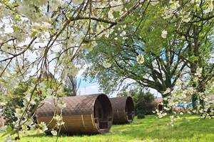 hebergement-nature-couple-cabanes-sous-arbres-Masserac-bretagne.jpg