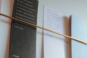 14 Divers- MSA_0507_