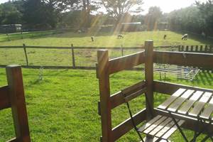 la terrasse avec vue sur le parc des moutons: roulotte nature et bois, chambres d'hôtes de kerael