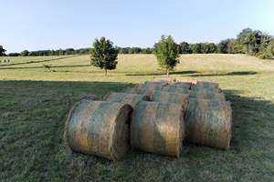 vue pré - bottes de foin