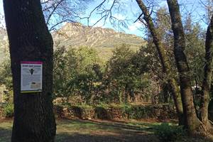 tres grand emplacement, 20 personnes max, la cigale
