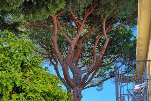 chambre-sur-jardins