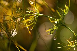 chambre-hotes-riec-sur-belon-finistere-sud-bretagne-cornouailles-bed-and-breakfast-visite-pont-aven-sentier-cotier-randonnée-jardin-centre-bourg