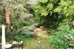 jardin