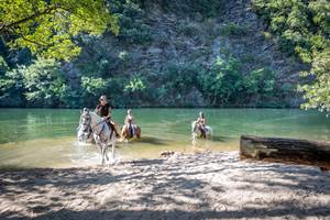 Baignade dans l'Orb - balade à cheval