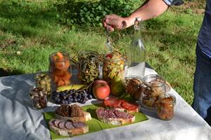 DSC_0423 (2020_12_30 10_23_11 UTC)