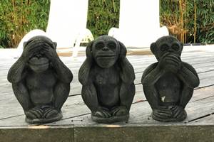 3singes