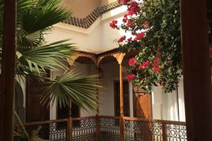 IMG_Marrakech_Riad_Djebel_patio interieur vegetation .palmier
