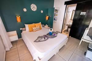 FUJIFILM X-T5_02_décembre_2025-52 50pp