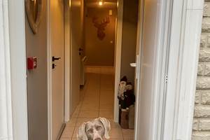 Rez - Entrée - Chiens acceptés sur demande préalable