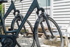 Vélos éléctriques 2021