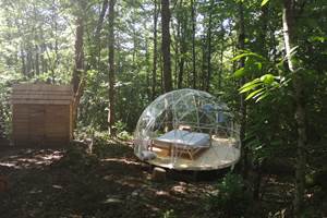 les bois de saint Auvent bulle dans les bois