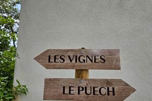 Flèche