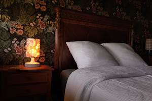 Chambre Gaskell