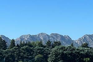 IMG_0374