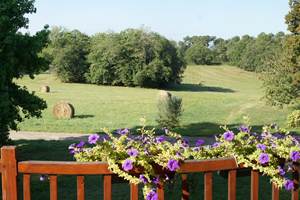 Vue de la terrasse 2