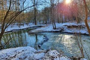 dans le bois du caillou qui bique, un jour d'hiver